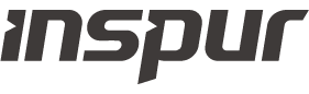 inspur